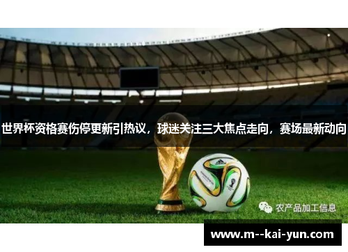 世界杯资格赛伤停更新引热议，球迷关注三大焦点走向，赛场最新动向