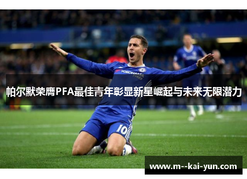 帕尔默荣膺PFA最佳青年彰显新星崛起与未来无限潜力