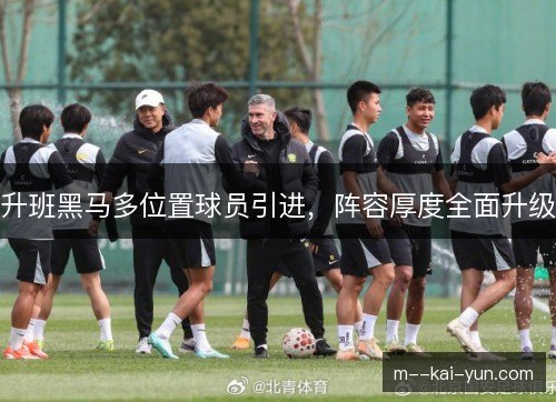 升班黑马多位置球员引进，阵容厚度全面升级